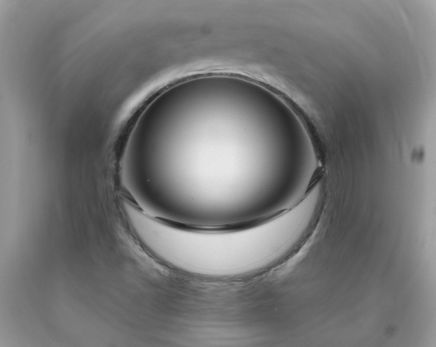 X0000090441502200707272142