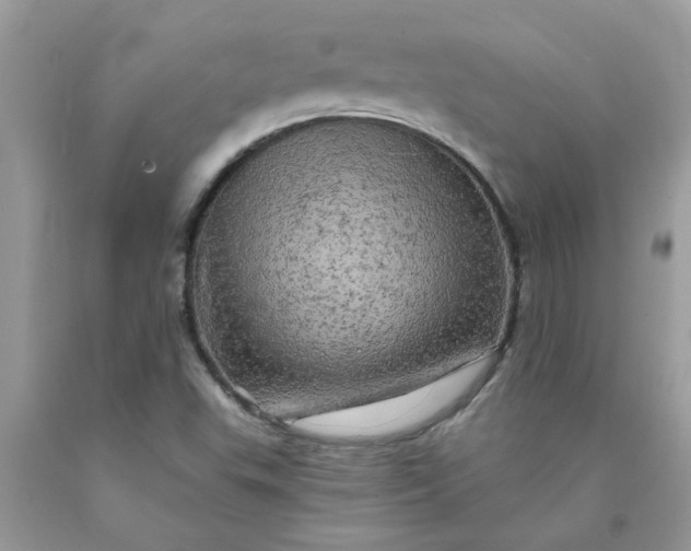 X0000090441503200707272142