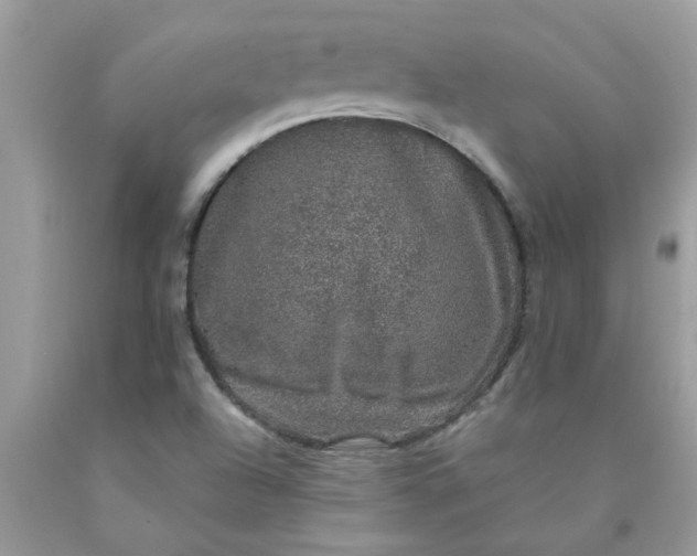 X0000090441504200707272143