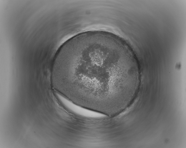 X0000090441505200707272143