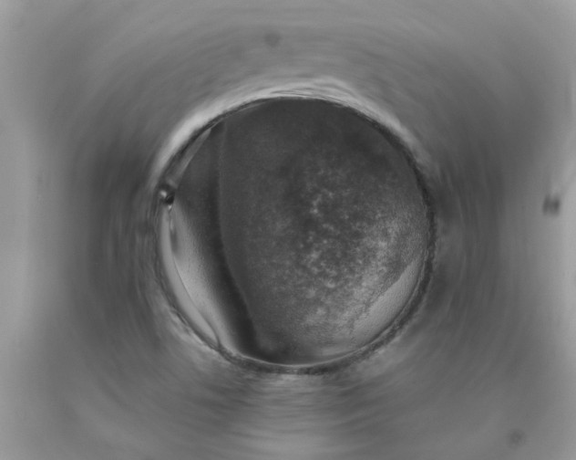 X0000090441506200707272143