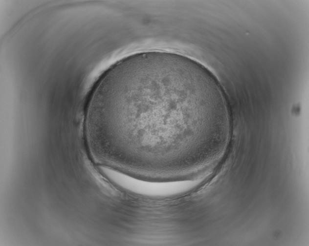 X0000090441507200707272143