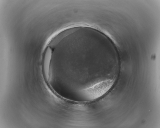 X0000090441508200707272143