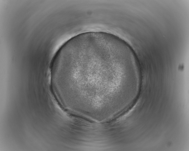 X0000090441509200707272143