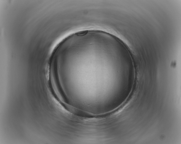 X0000090441510200707272143