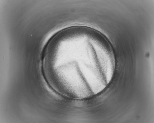 X0000090441511200707272143