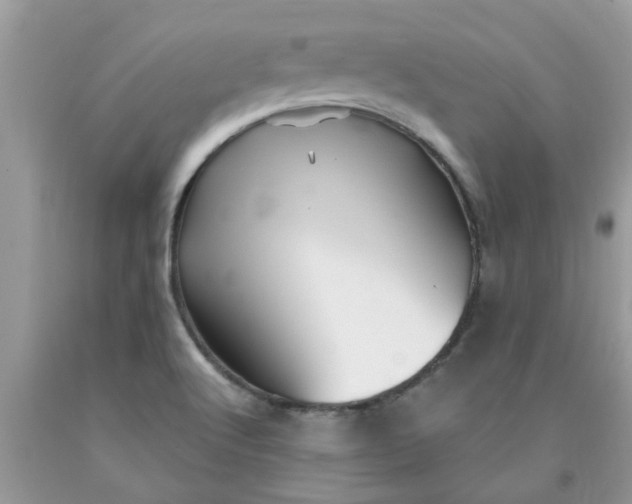 X0000090441512200707272143