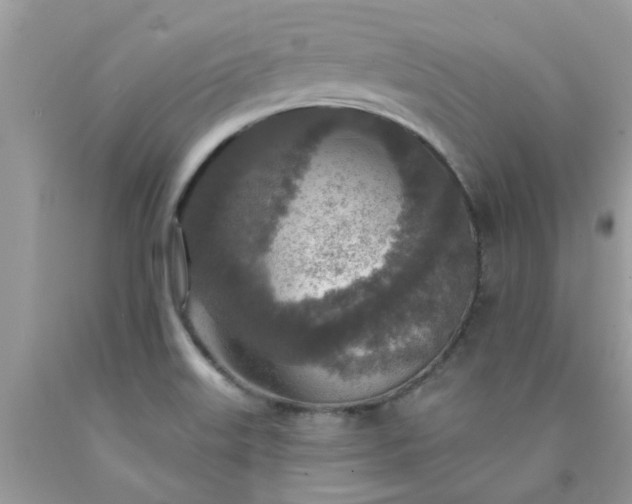 X0000090441515200707272143