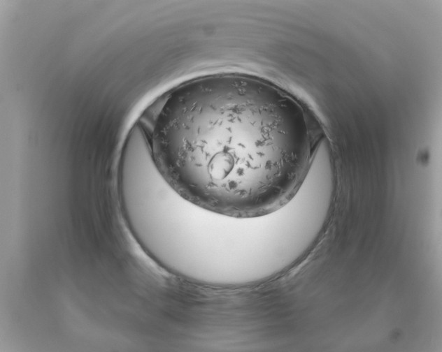 X0000090441516200707272143