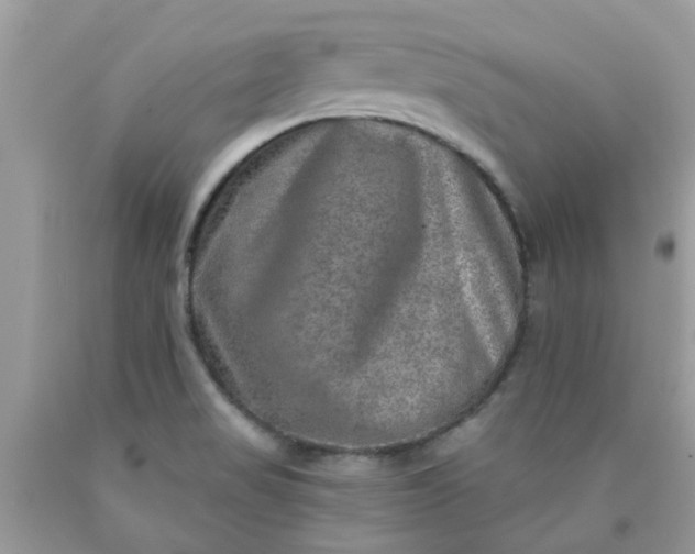 X0000090441517200707272143