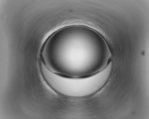 X0000090441518200707272143