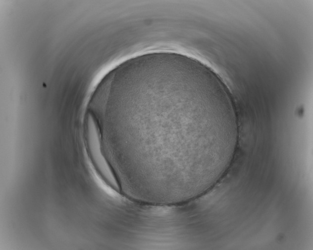 X0000090441519200707272143