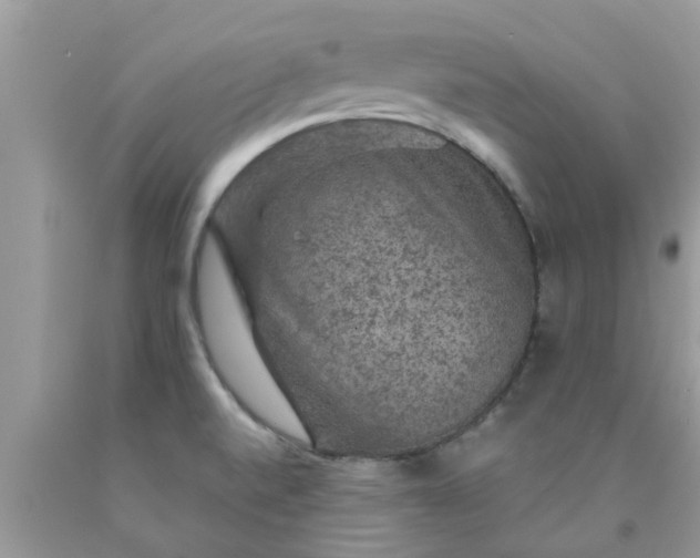 X0000090441520200707272143