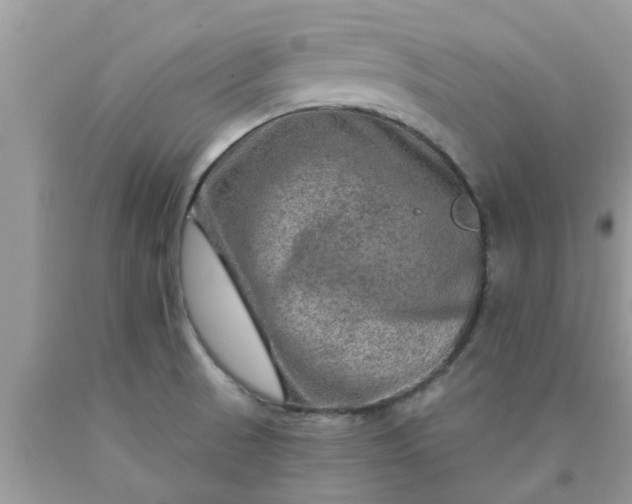 X0000090441521200707272143