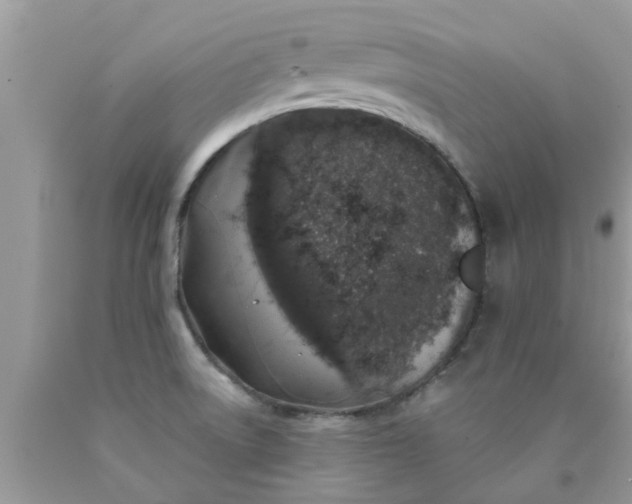 X0000090441522200707272143