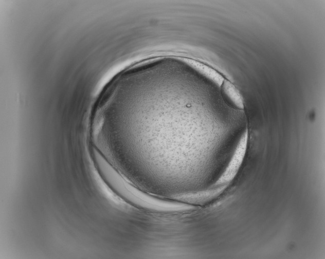 X0000090441523200707272143