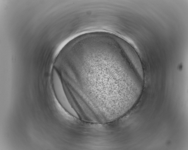 X0000090441524200707272143