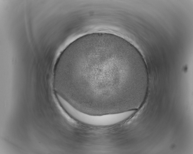 X0000090441525200707272143