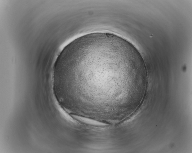 X0000090441526200707272143