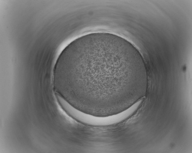 X0000090441527200707272143