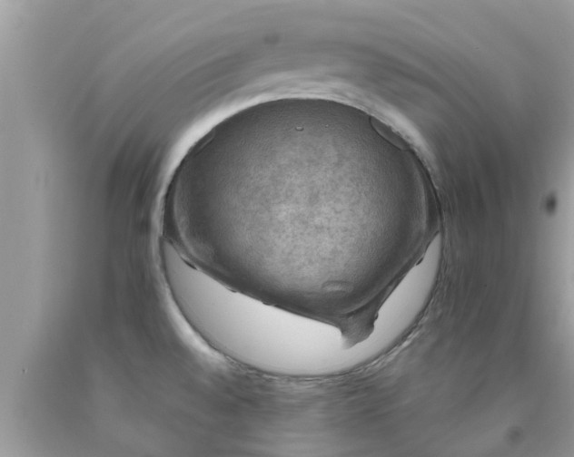 X0000090441528200707272143