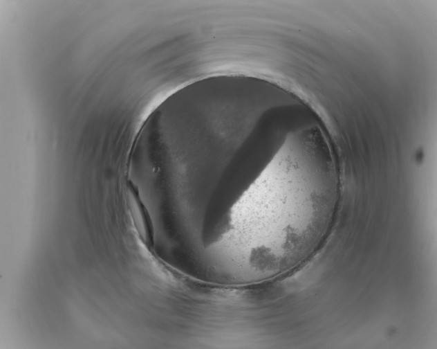 X0000090441529200707272143