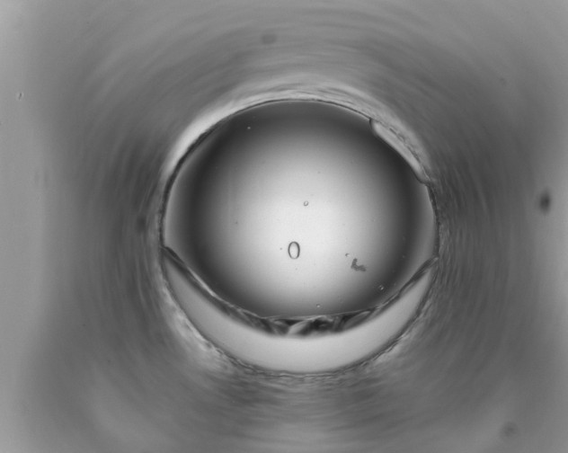 X0000090441530200707272143