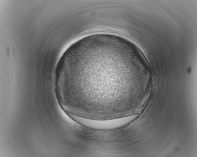 X0000090441531200707272143