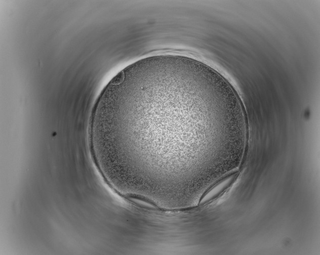 X0000090441533200707272143