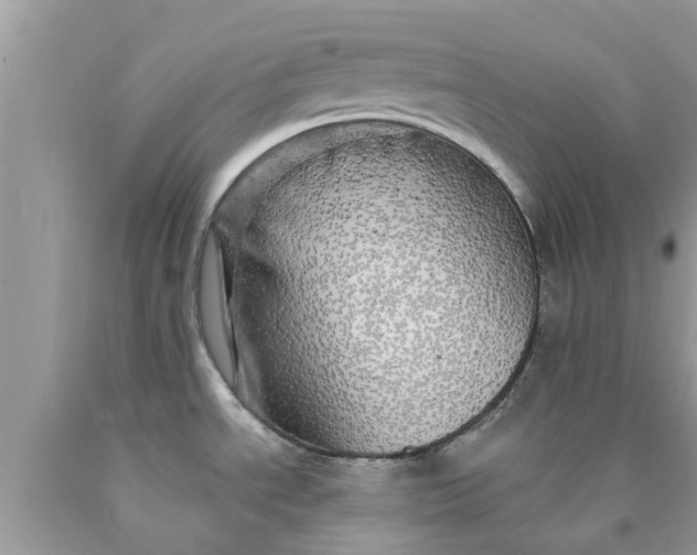 X0000090441534200707272143