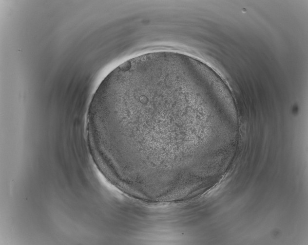 X0000090441535200707272143