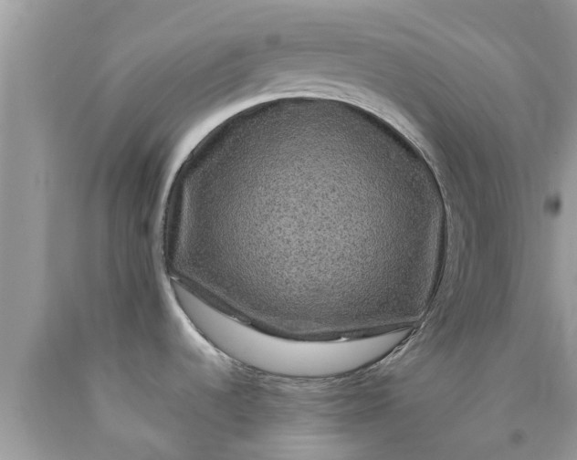 X0000090441536200707272143