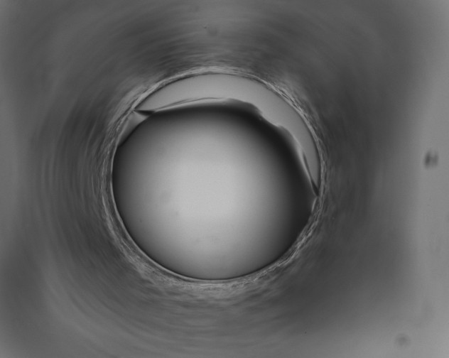 X0000090440001200708031205