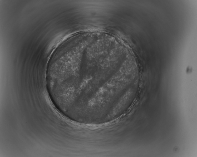 X0000090440002200708031205