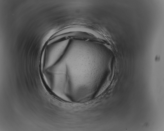 X0000090440003200708031205