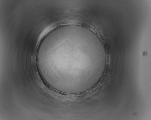 X0000090440004200708031205