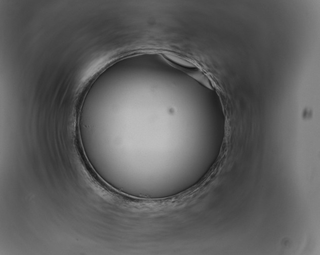 X0000090440005200708031205