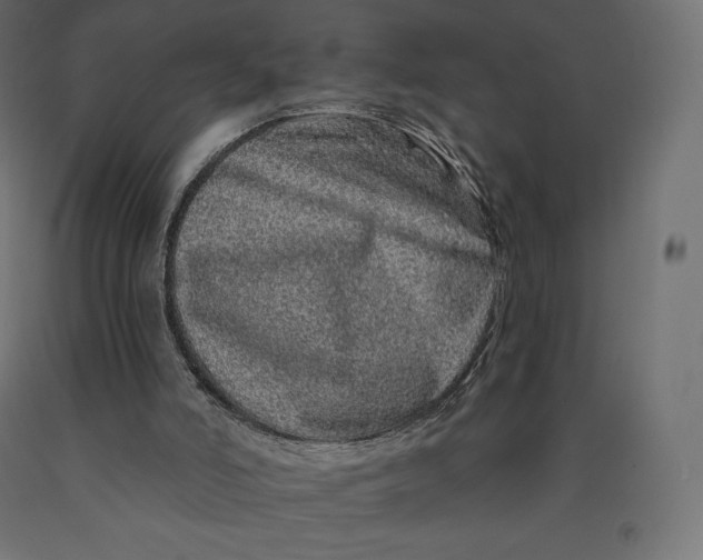 X0000090440006200708031205