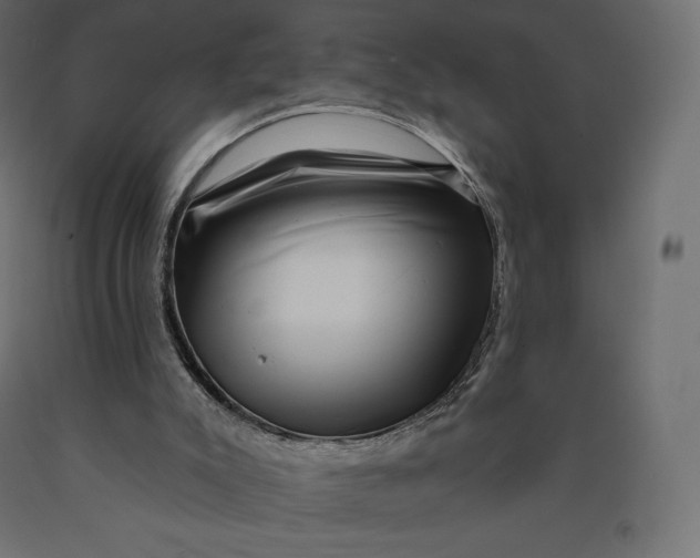 X0000090440007200708031205