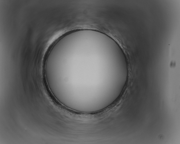 X0000090440008200708031205