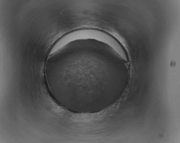 X0000090440009200708031205