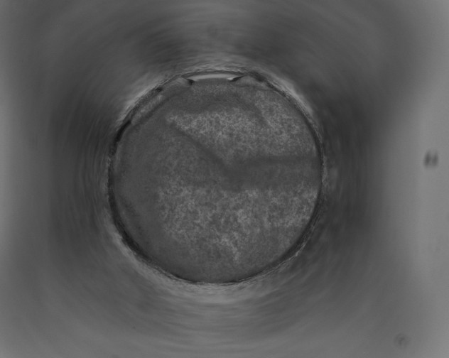 X0000090440010200708031205