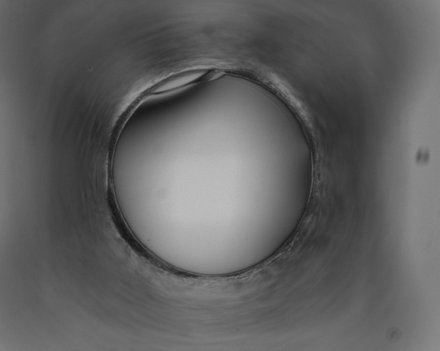 X0000090440011200708031205