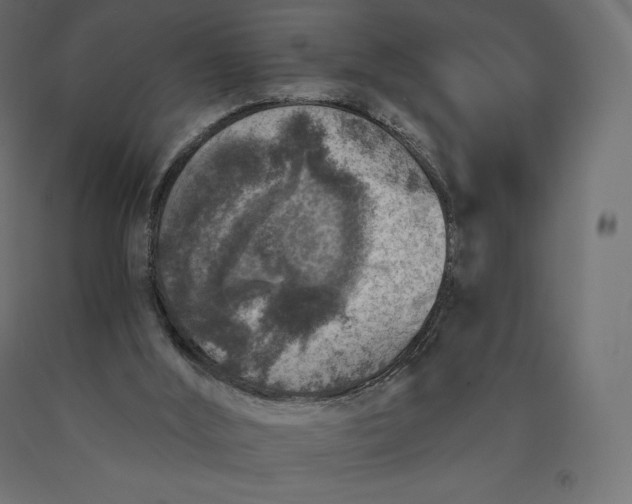 X0000090440012200708031204