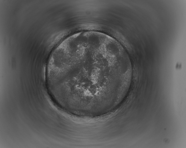 X0000090440014200708031204