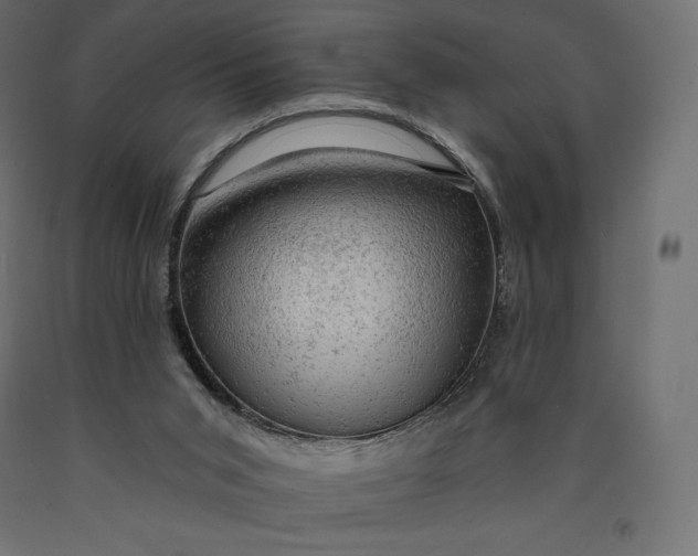 X0000090440015200708031204