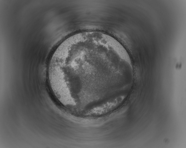 X0000090440016200708031204