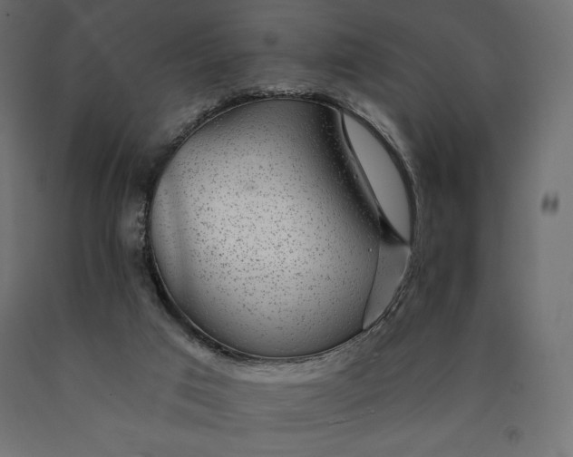 X0000090440017200708031204