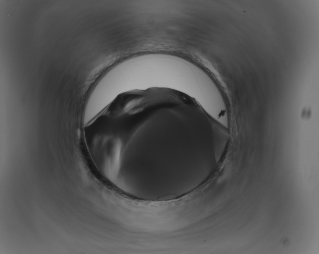 X0000090440019200708031204