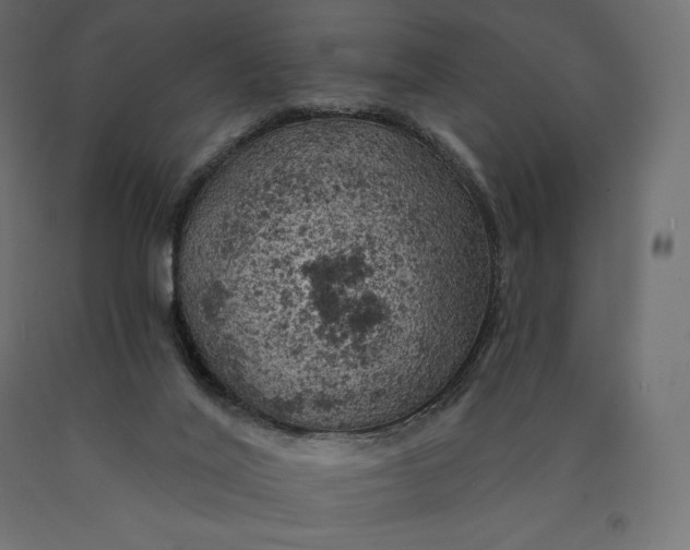 X0000090440020200708031204